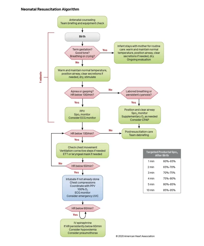 Neonatal Resuscitation Program 8th edition algorithm chart showing newborn assessment, PPV ventilation, chest compressions, oxygen saturation targets, and neonatal emergency response pathway.